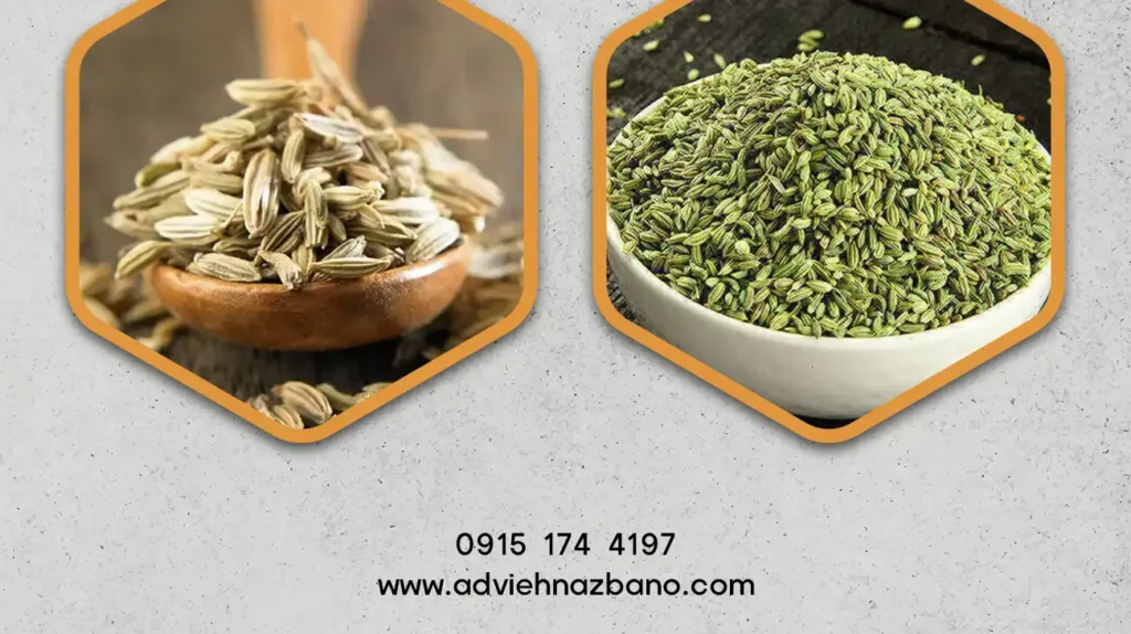 صادرات زیره سبز