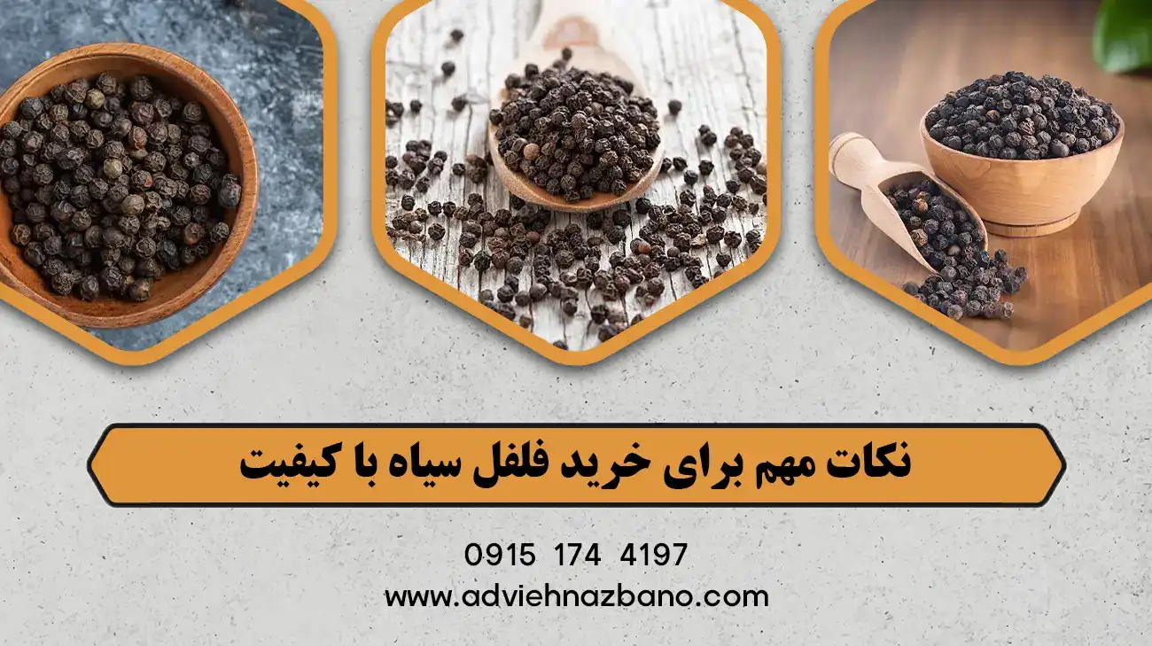 نکات مهم برای خرید فلفل سیاه با کیفیت