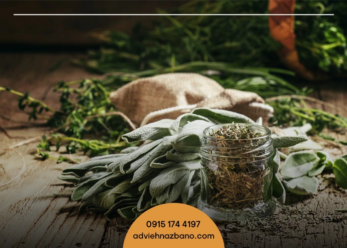 بهترین شرایط محیطی برای نگهداری گیاهان دارویی خشک شده
