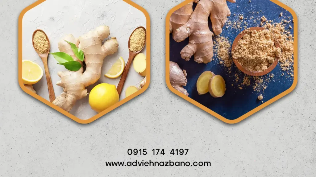 خواص و ویژگی‌های پودر زنجبیل باکیفیت
