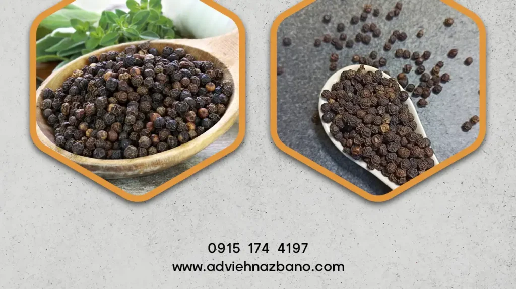 کاربرد فلفل سیاه در طب سنتی