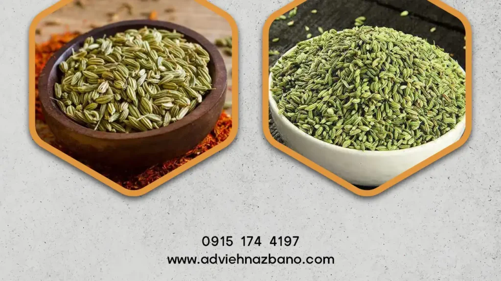 مهم‌ترین خواص زیره سبز