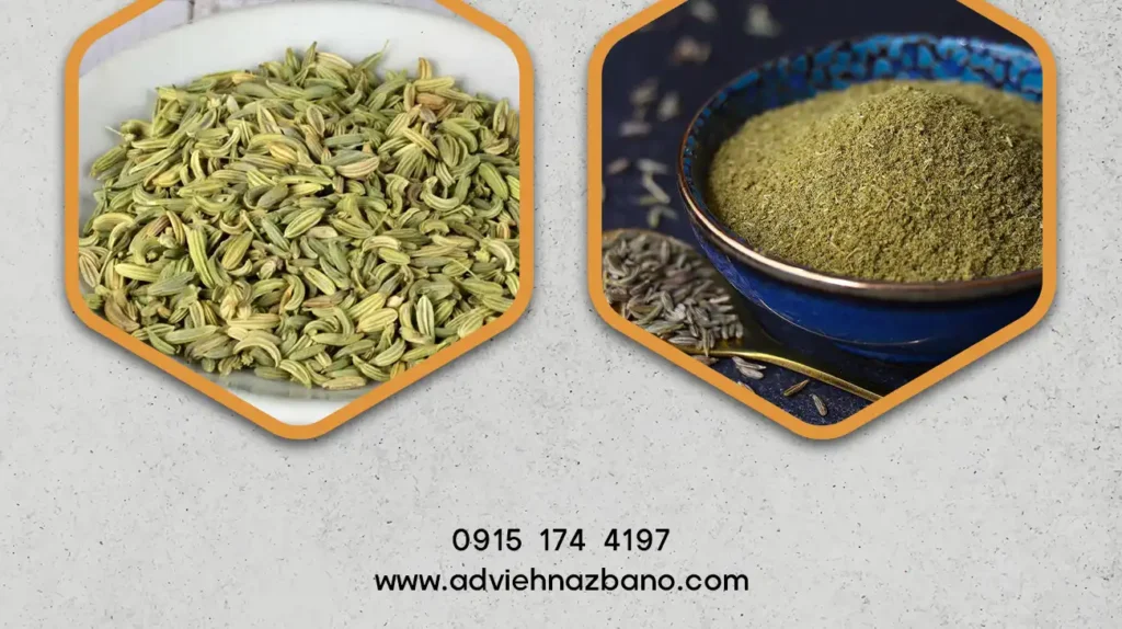 قیمت زیره سبز در بازار