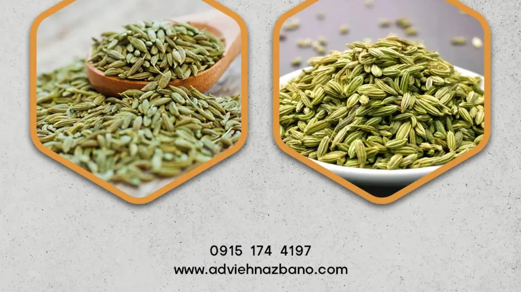 مزایای استفاده از زیره سبز