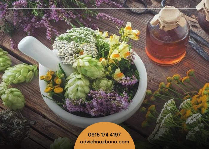بهترین گیاهان دارویی برای درمان استرس و بی‌خوابی