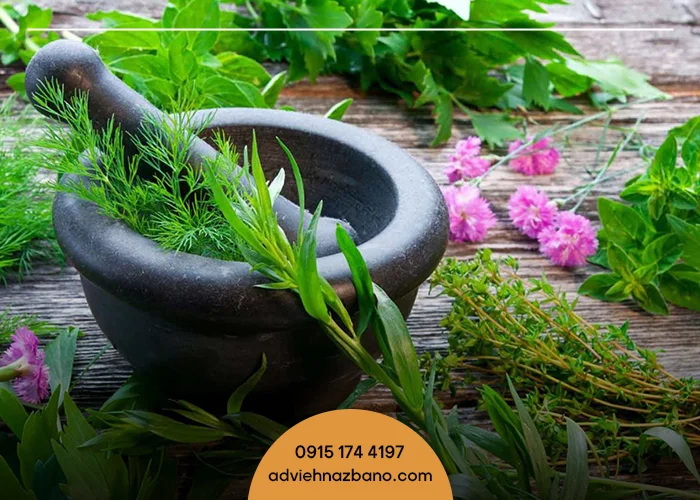 نکات مهم در مصرف گیاهان دارویی