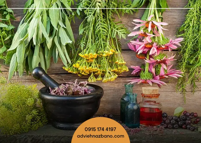 مزایای استفاده از گیاهان دارویی برای درمان سرماخوردگی