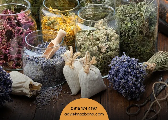 آویشن؛ گیاه ضدسرفه و ضدعفونی‌کننده قوی