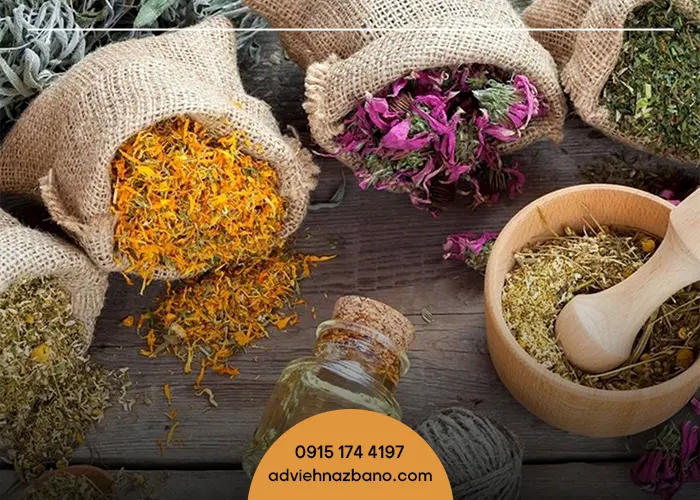 گیاهان دارویی مناسب برای سرماخوردگی و آنفولانزا